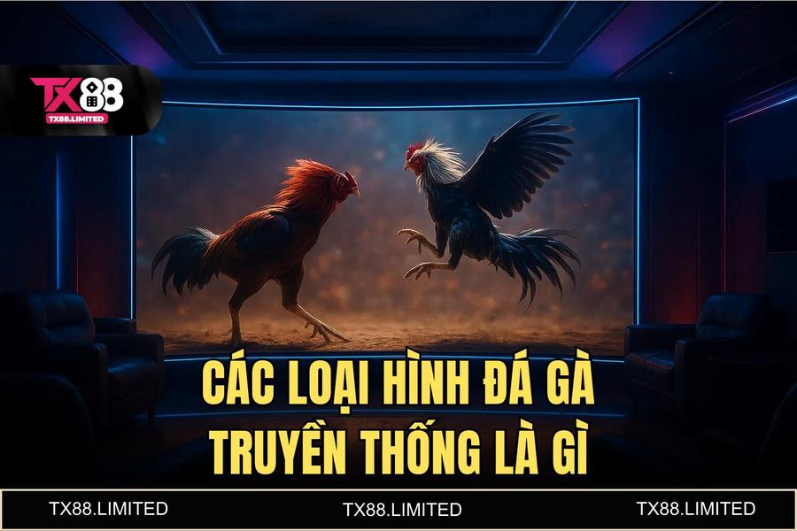 Phân tích các loại hình đá gà đỉnh cao: Từ cựa dao Philippines đến cựa sắt Thomo