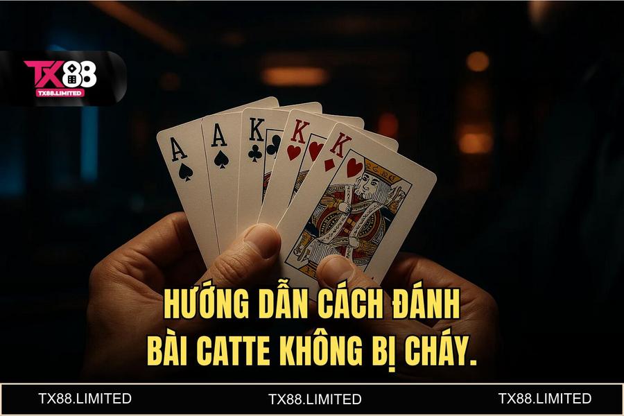 Luật chơi cốt lõi và tư duy xếp bài tối ưu hóa lợi thế