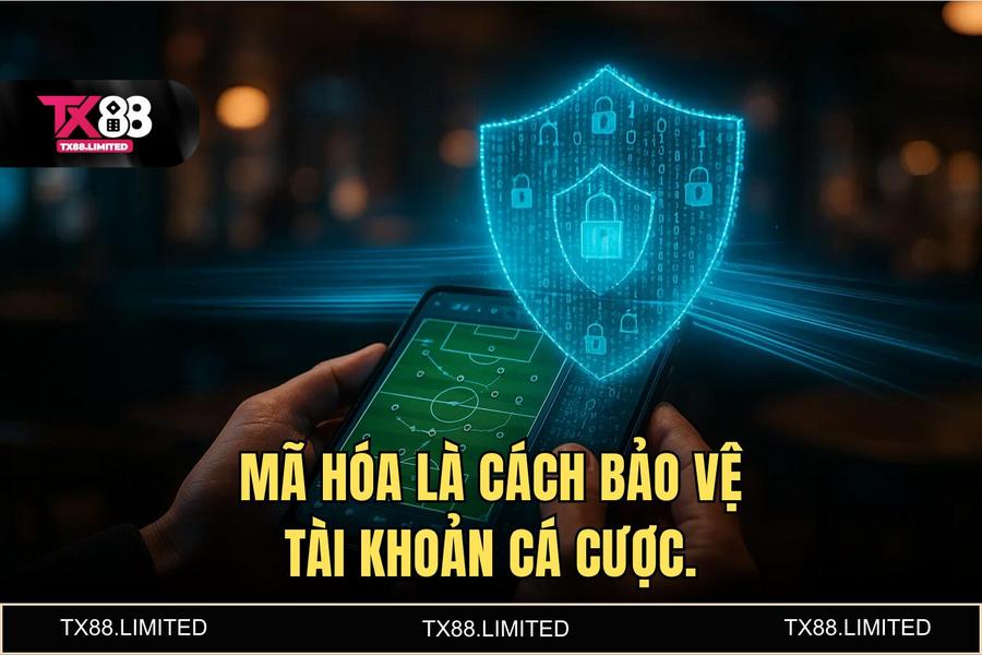 Mã hóa đường truyền: 'Lá chắn' trước các cuộc tấn công xen giữa