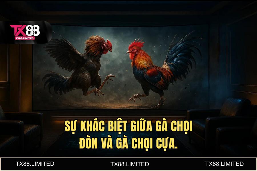 Phân tích các loại hình đá gà đỉnh cao: Từ cựa dao Philippines đến cựa sắt Thomo